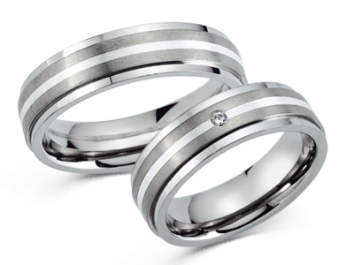 Titanium Ringen met Zilver
