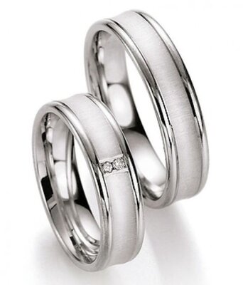Zilveren Ringen