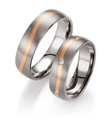 Titanium Ringen met Goud