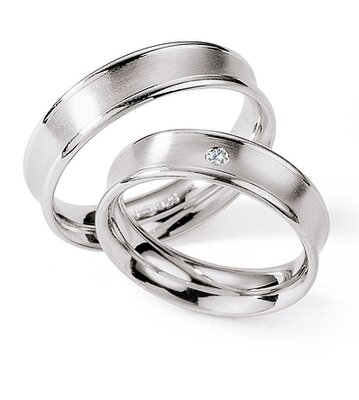 Zilveren Ringen