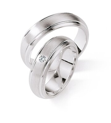 Zilveren Ringen