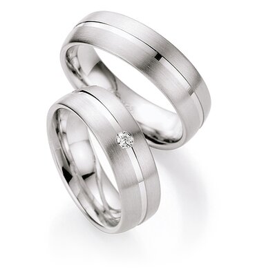 Zilveren Ringen