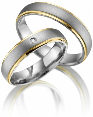 Trouwringen Titanium