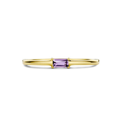 ring met geboortesteen amethist juni