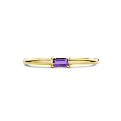 ring met geboortesteen amethist februari