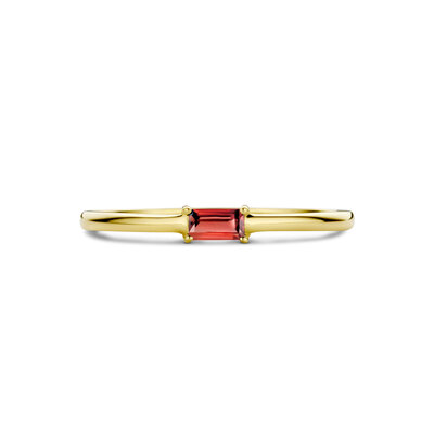 ring met geboortesteen granaat januari