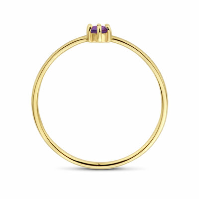 ring met geboortesteen amethist februari