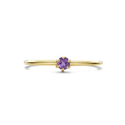 ring met geboortesteen amethist februari