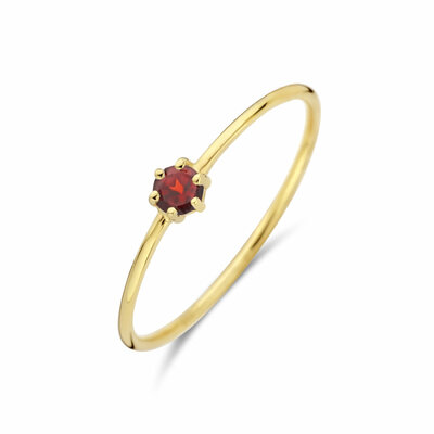 ring met geboortesteen granaat  januari