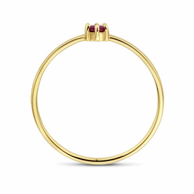 ring met geboortesteen granaat  januari