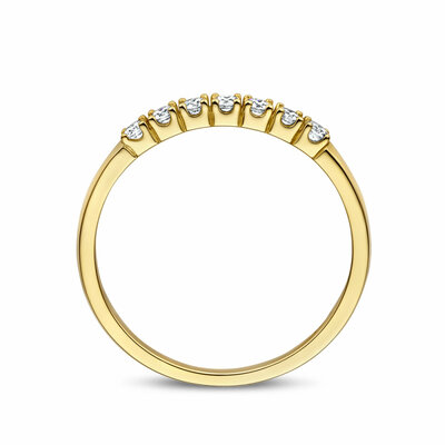 memoire ring diamant 0.21ct h si