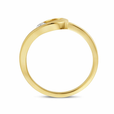 ring zirkonia