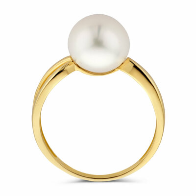 ring parel