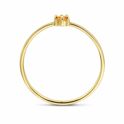 ring met geboortesteen november citrien