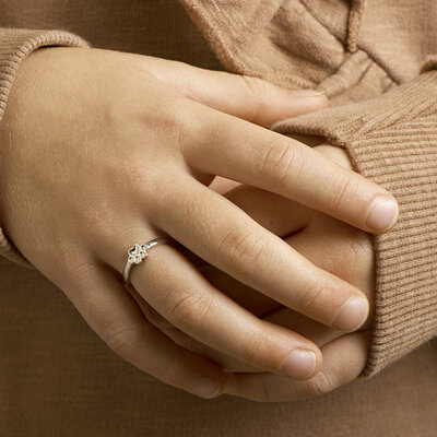 ring hondenpoot