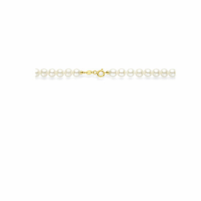 collier parel 6,0 mm