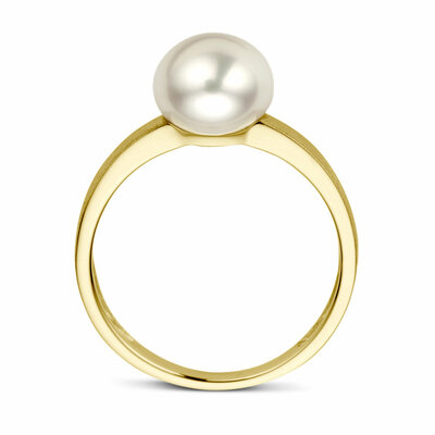 ring parel gescratcht