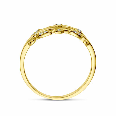 ring zirkonia