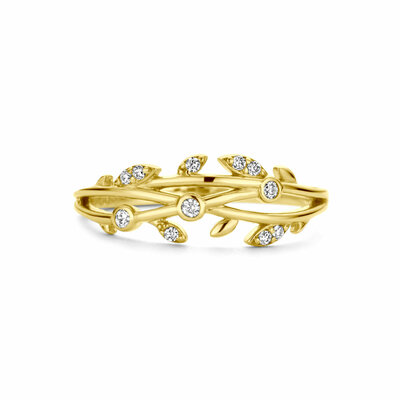 ring zirkonia