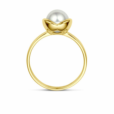 ring parel