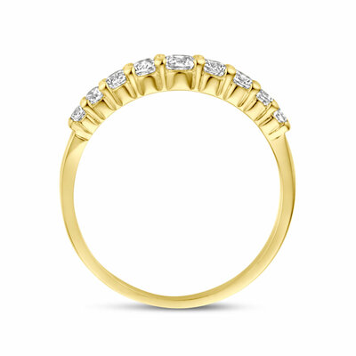 ring zirkonia