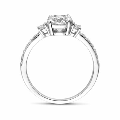 ring zirkonia