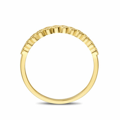 ring zirkonia