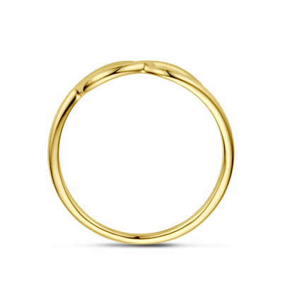 ring infinity