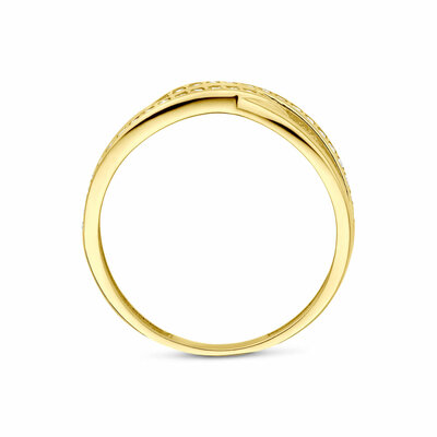 ring zirkonia