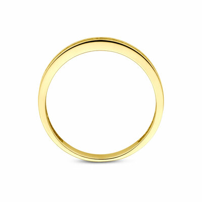 ring zirkonia