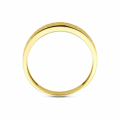 ring zirkonia