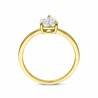 ring zirkonia