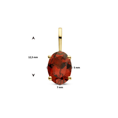 hanger met geboortesteen