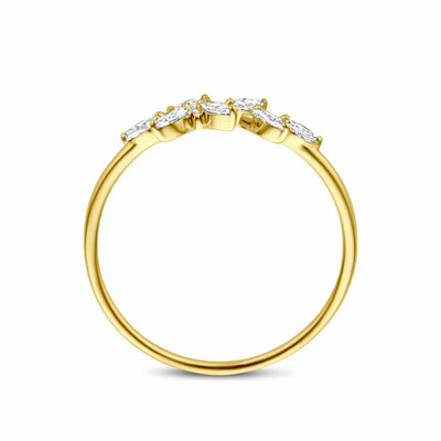 ring zirkonia