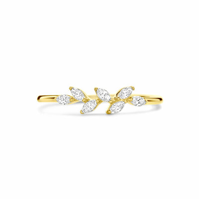 ring zirkonia