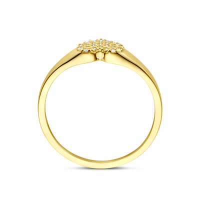 ring hart zirkonia