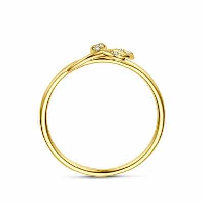 ring diamant 0.03ct h si