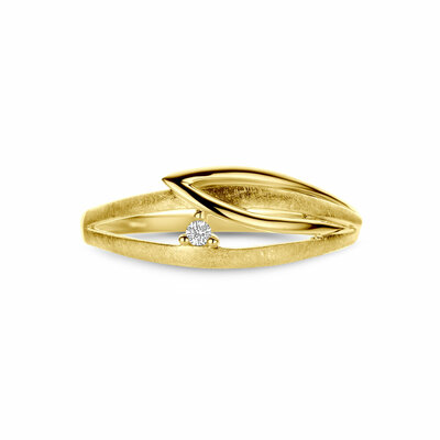 ring poli/mat diamant 0.02ct h si