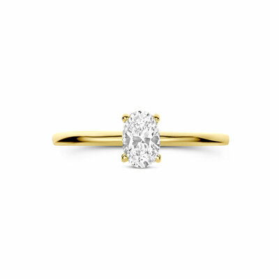 ring zirkonia