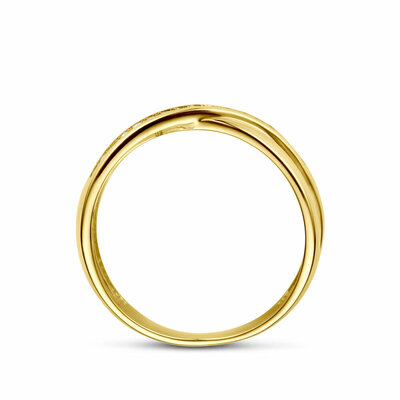 ring zirkonia