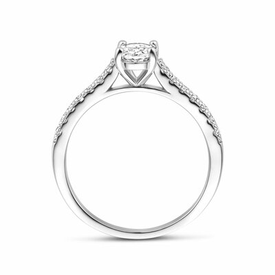 ring zirkonia