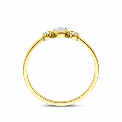 ring zirkonia