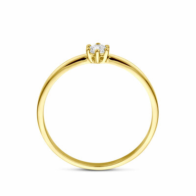 ring zirkonia