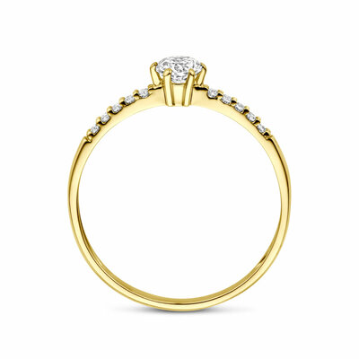 ring zirkonia