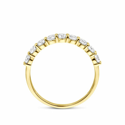 ring zirkonia