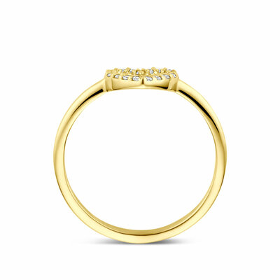 ring hartje lab grown diamant 0.09ct g vs