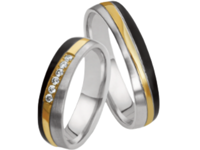 Stalen Ringen Bicolor
