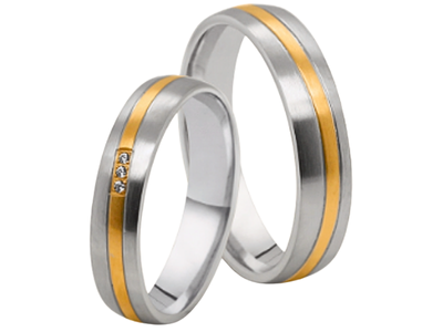 Stalen Ringen Bicolor