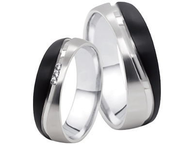 Stalen Ringen Bicolor