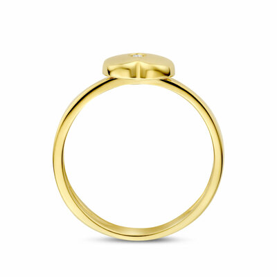 ring hartje lab grown diamant 0.01ct g vs